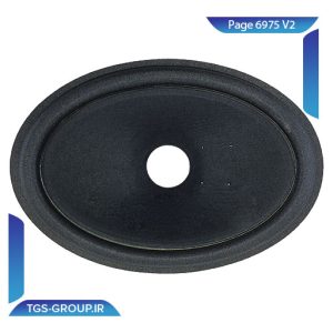 صفحه 6975 V2