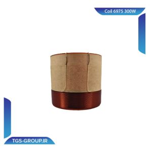 سیم پیچ باند 6975 300W